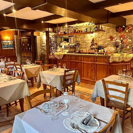 斯特拉迪尔诺德酒店 酒店 库马约尔